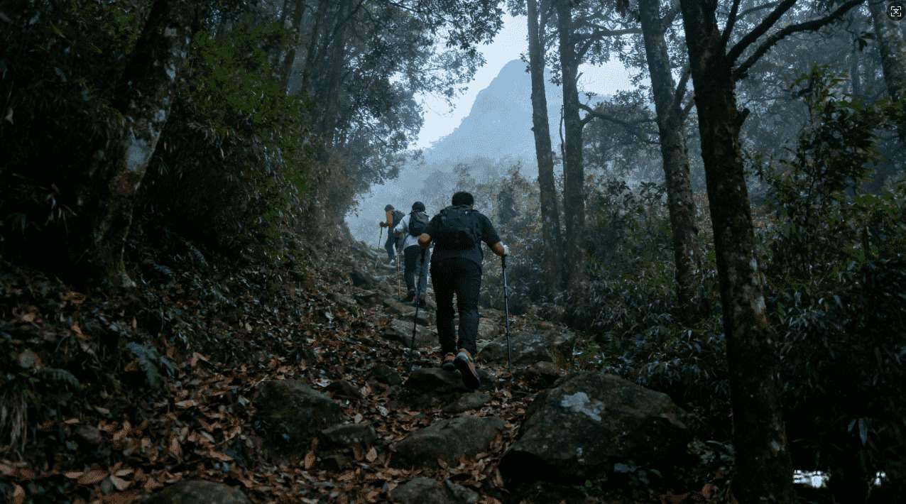 旋风加速器下载的详细指南